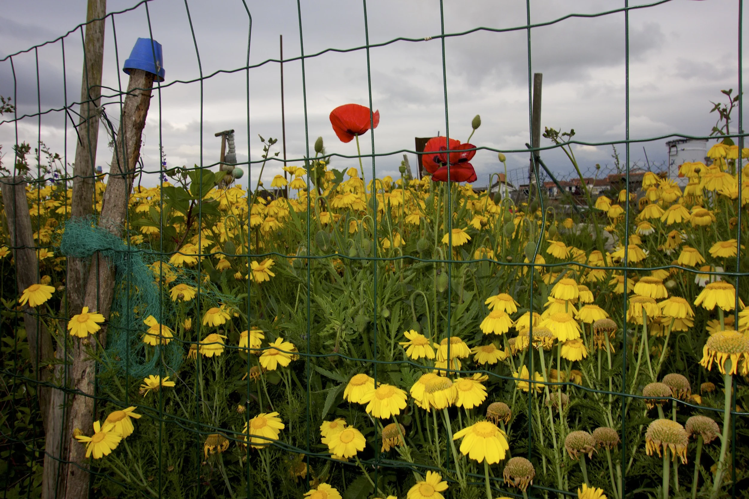 2013-05-14-19-49-44.jpg