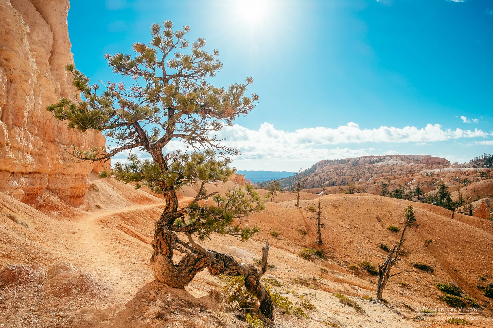 Le Fuji XF 14mm f2.8 résiste remarquablement aux lumières difficiles, comme ici avec le soleil dans le cadre. Au moment de traiter l'image, celle-ci conserve contraste et couleurs. (cliquez sur les images pour les agrandir)
