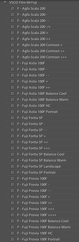 Les films et leurs variations, accessibles depuis le panneau de préréglages de LightRoom.