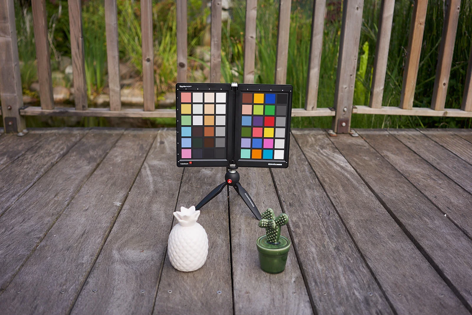 Photo brut