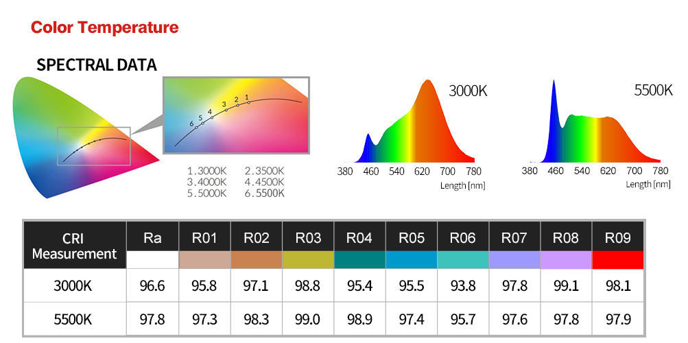 131654146075625000.jpg