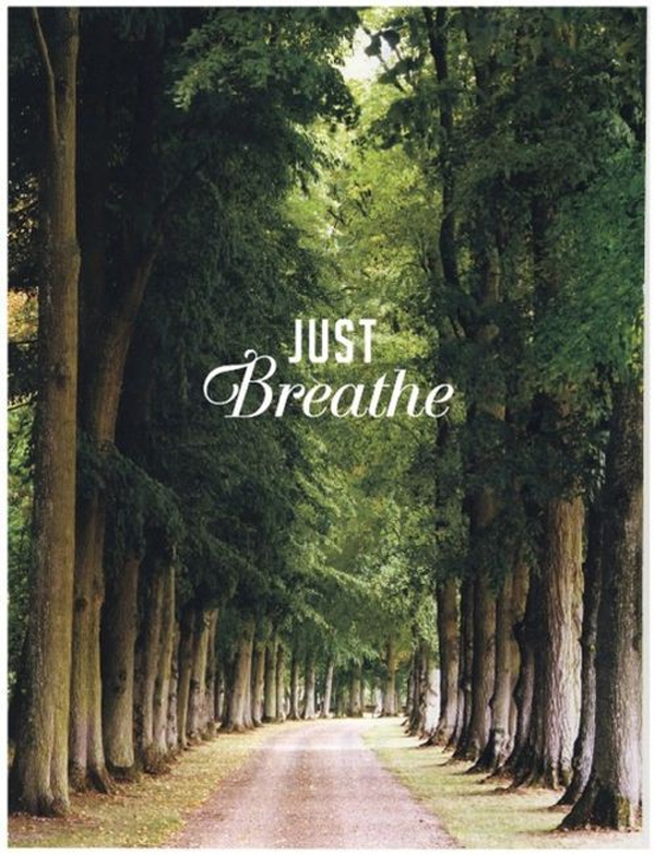 JUST_BREATHE.jpg