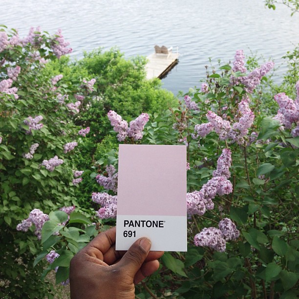 pantoneproject_blush.jpg