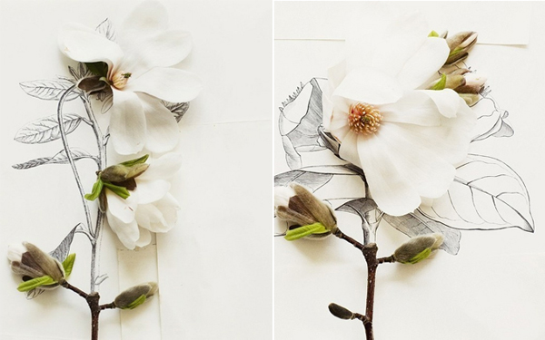 MAGNOLIAS.jpg