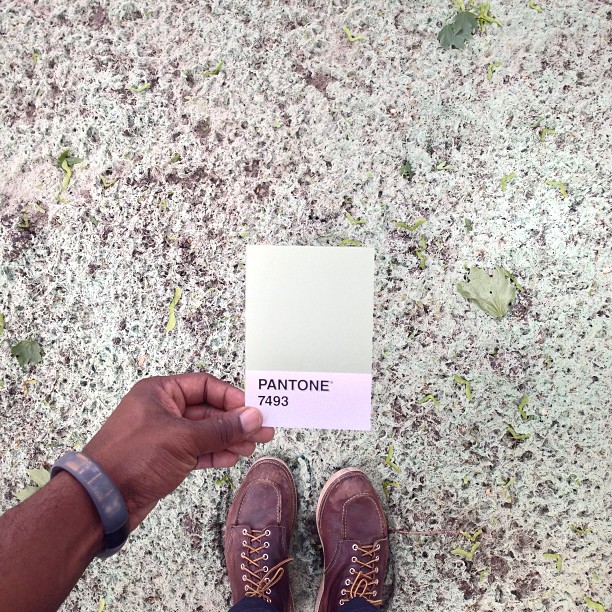 pantoneproject_green.jpg