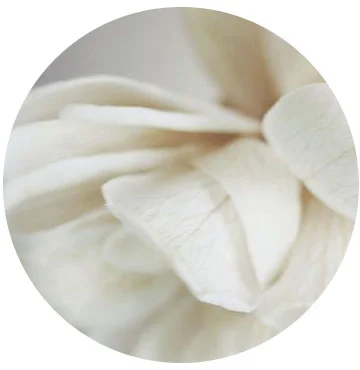 flower_round.jpg