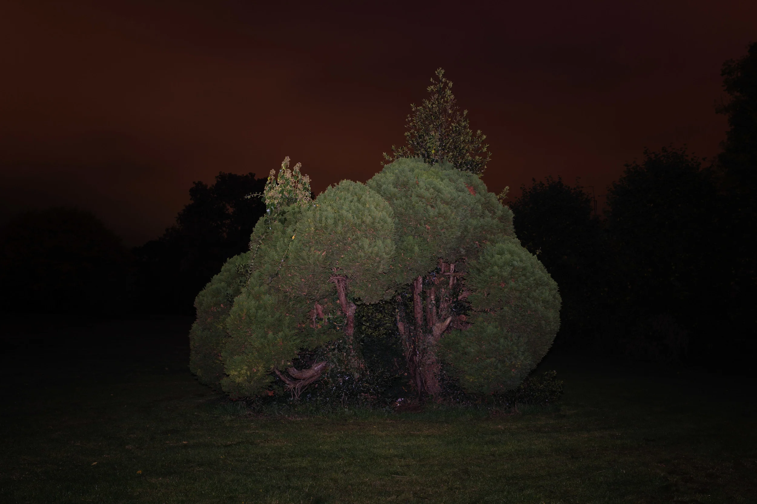 Billing Road - A recent piece that would also work cropped square
