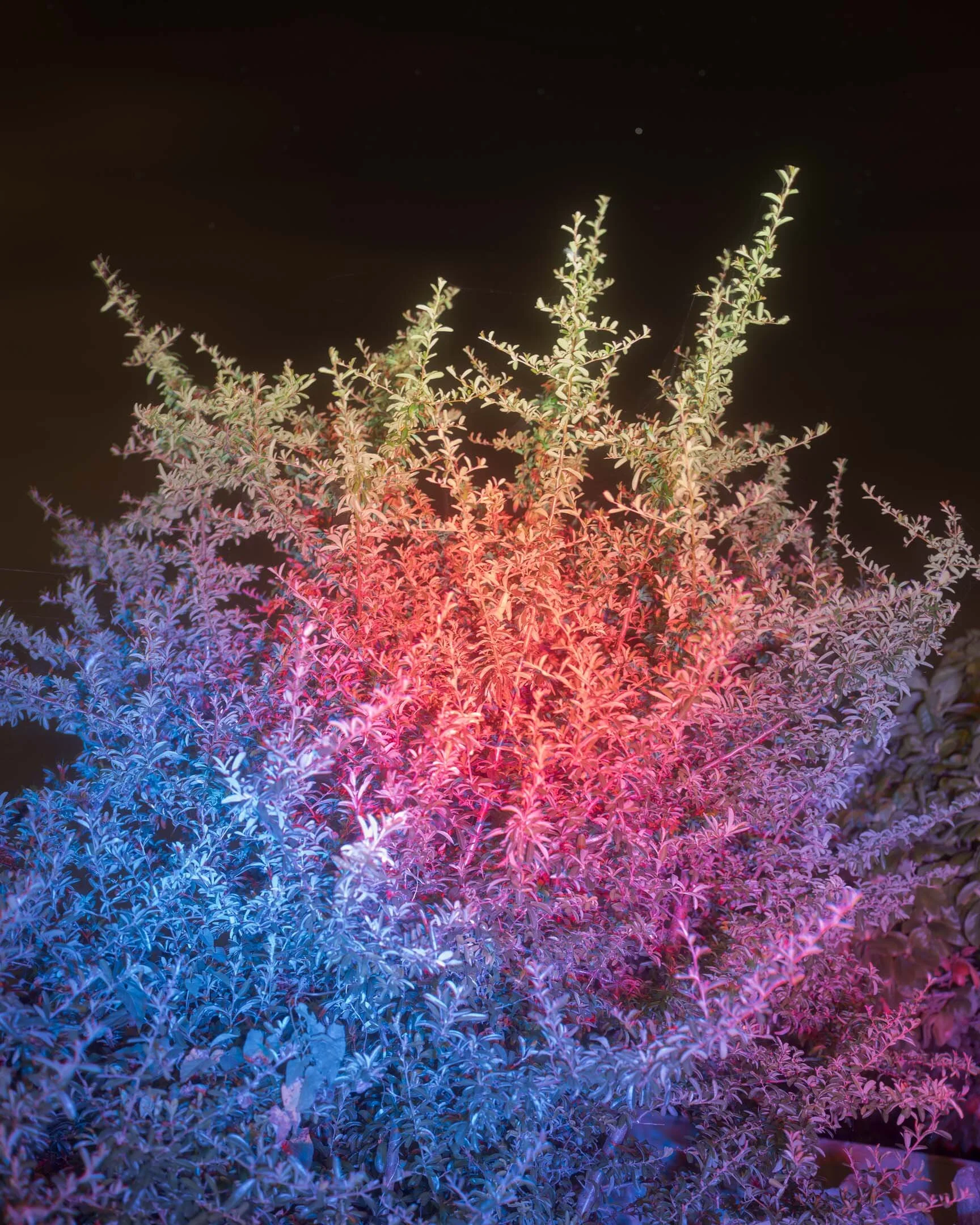 What’s the point of post processing?