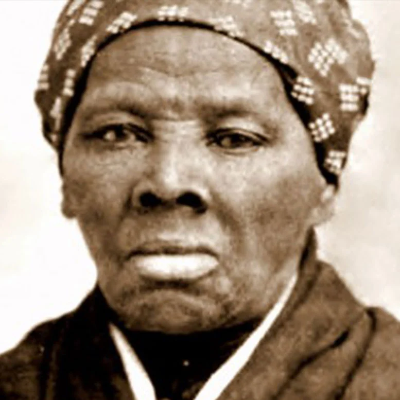 Dream Projects in Honor of Black History Month