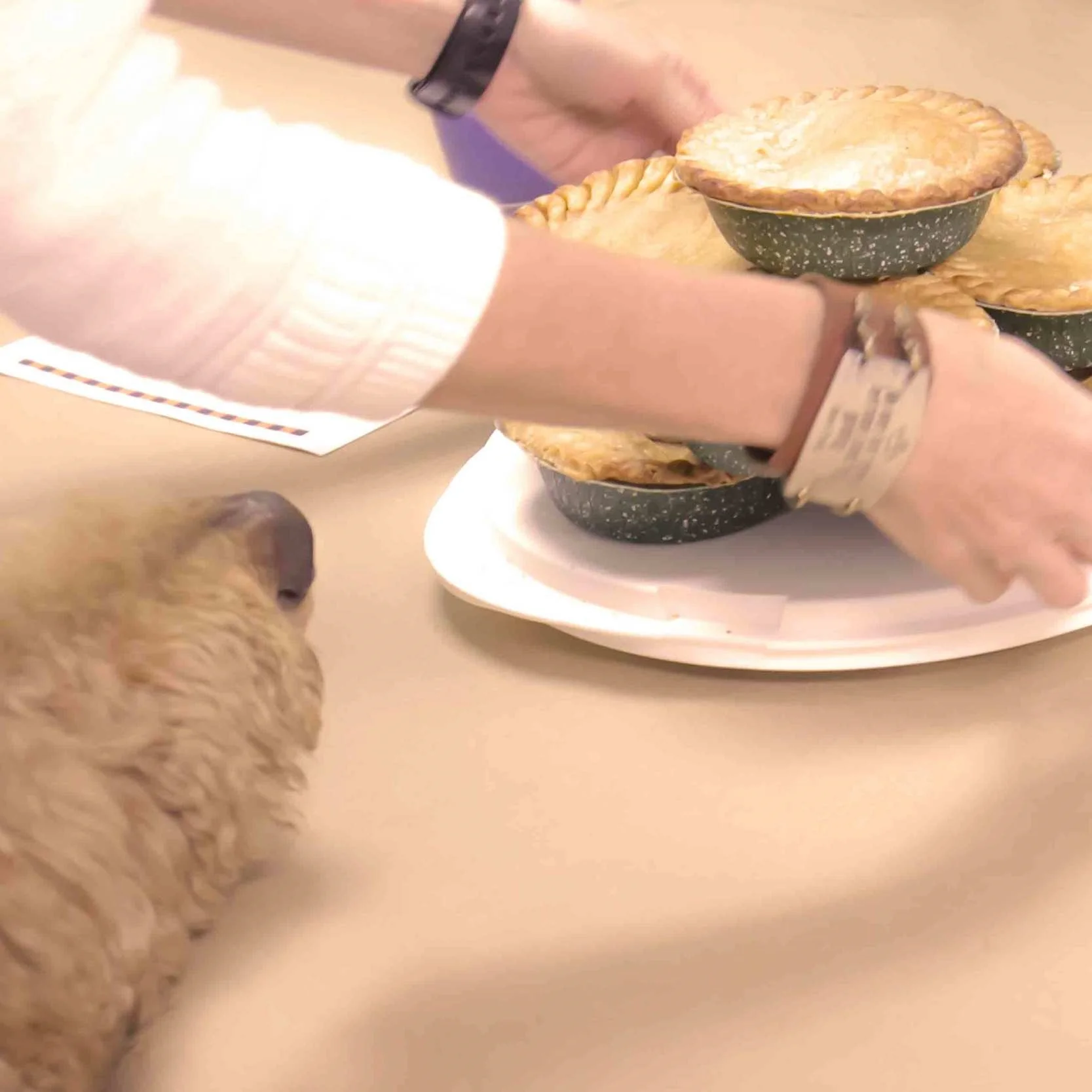 Life Skills : Enemy Pie