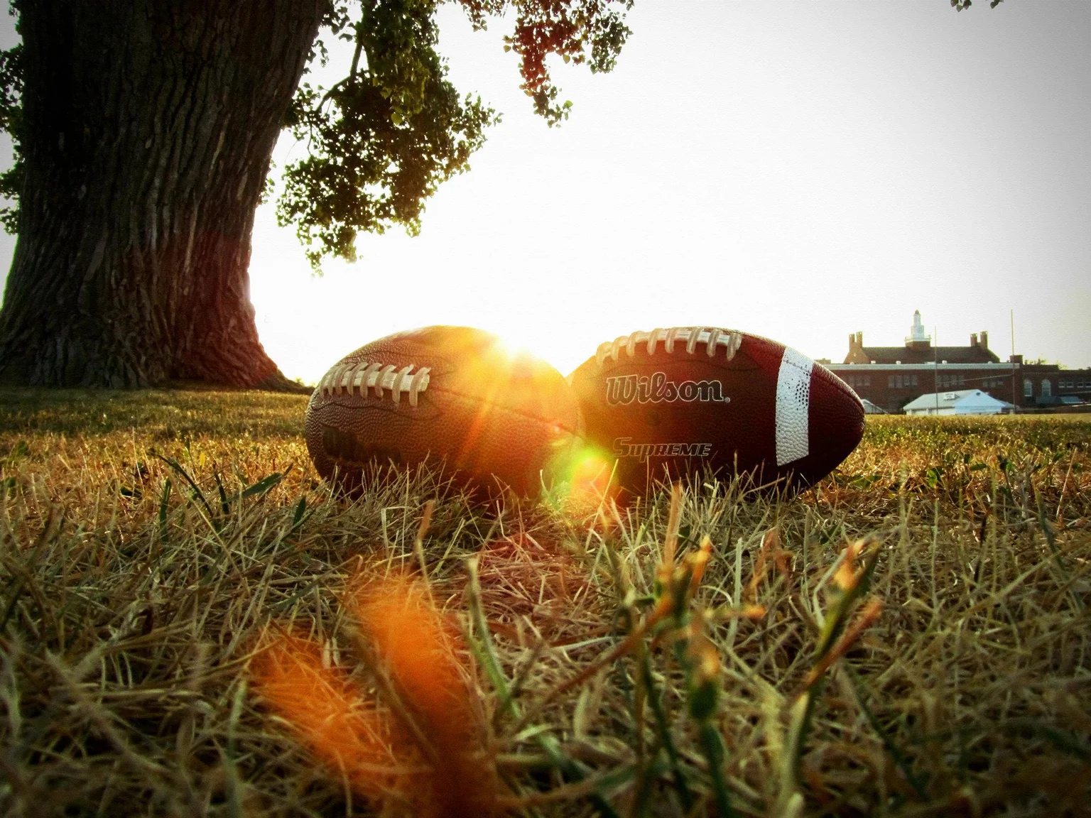 FALL FLAG FOOTBALL (Co-ed) Now Open!