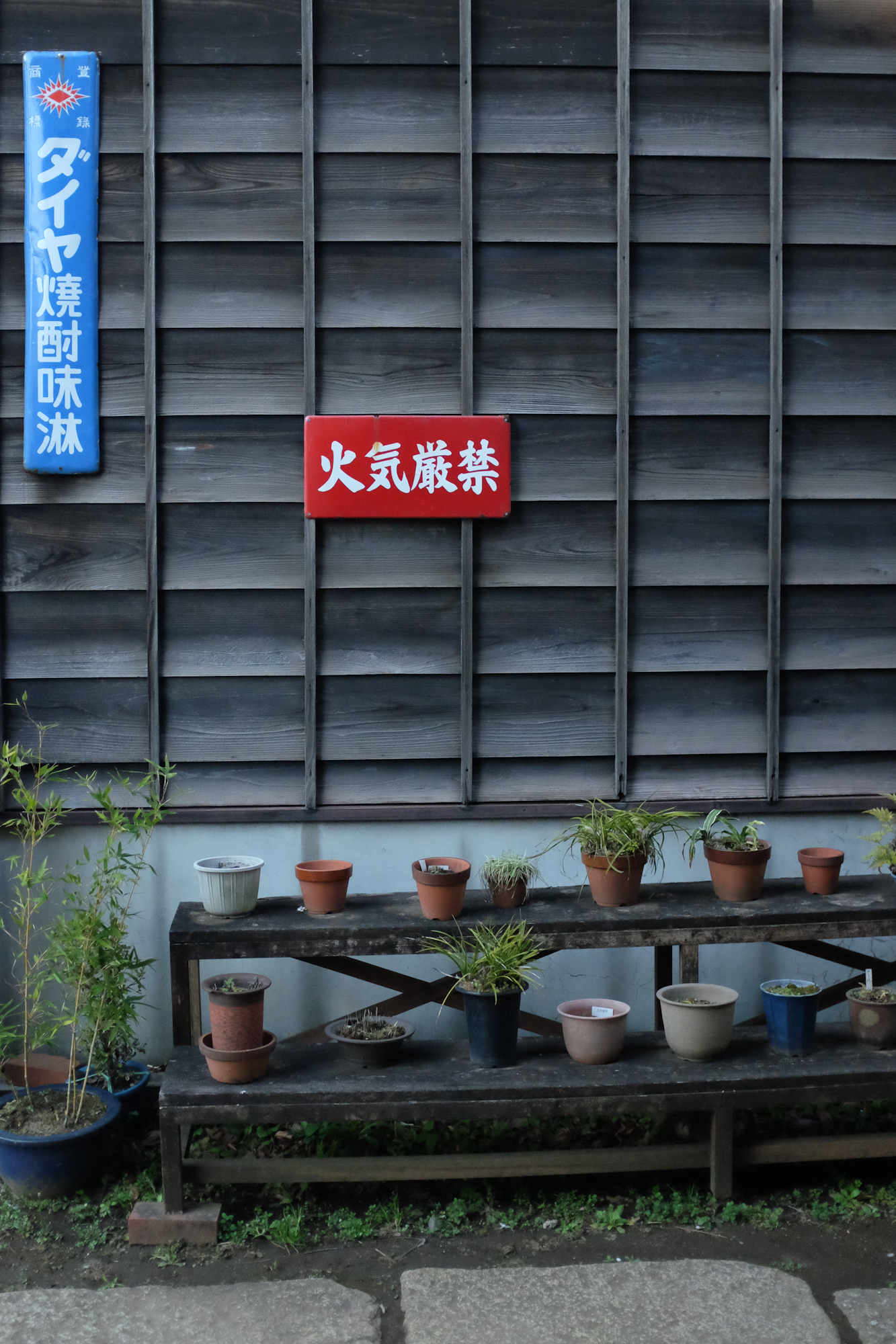 Tokyostreetgardens-1317.jpg