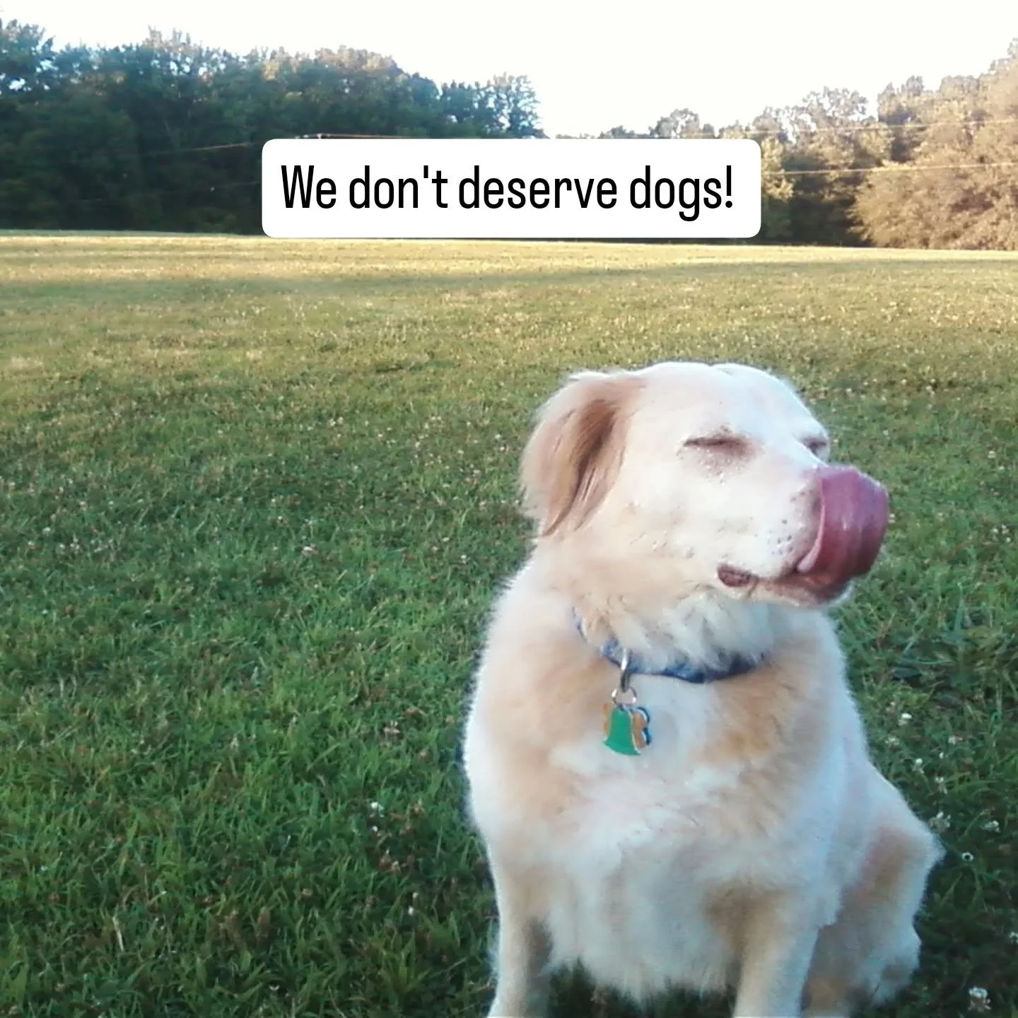 One of my favorite memories of Noel! 

#dogdad #missyou