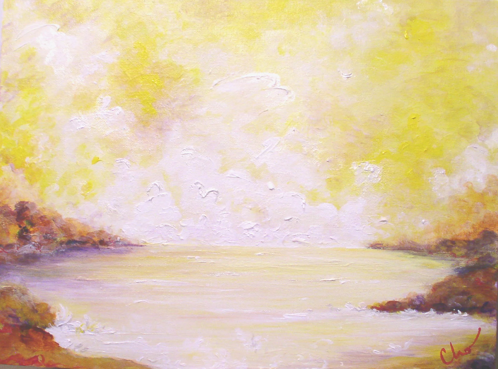 Immersed in Lightness 12x16 March 2009-- $150