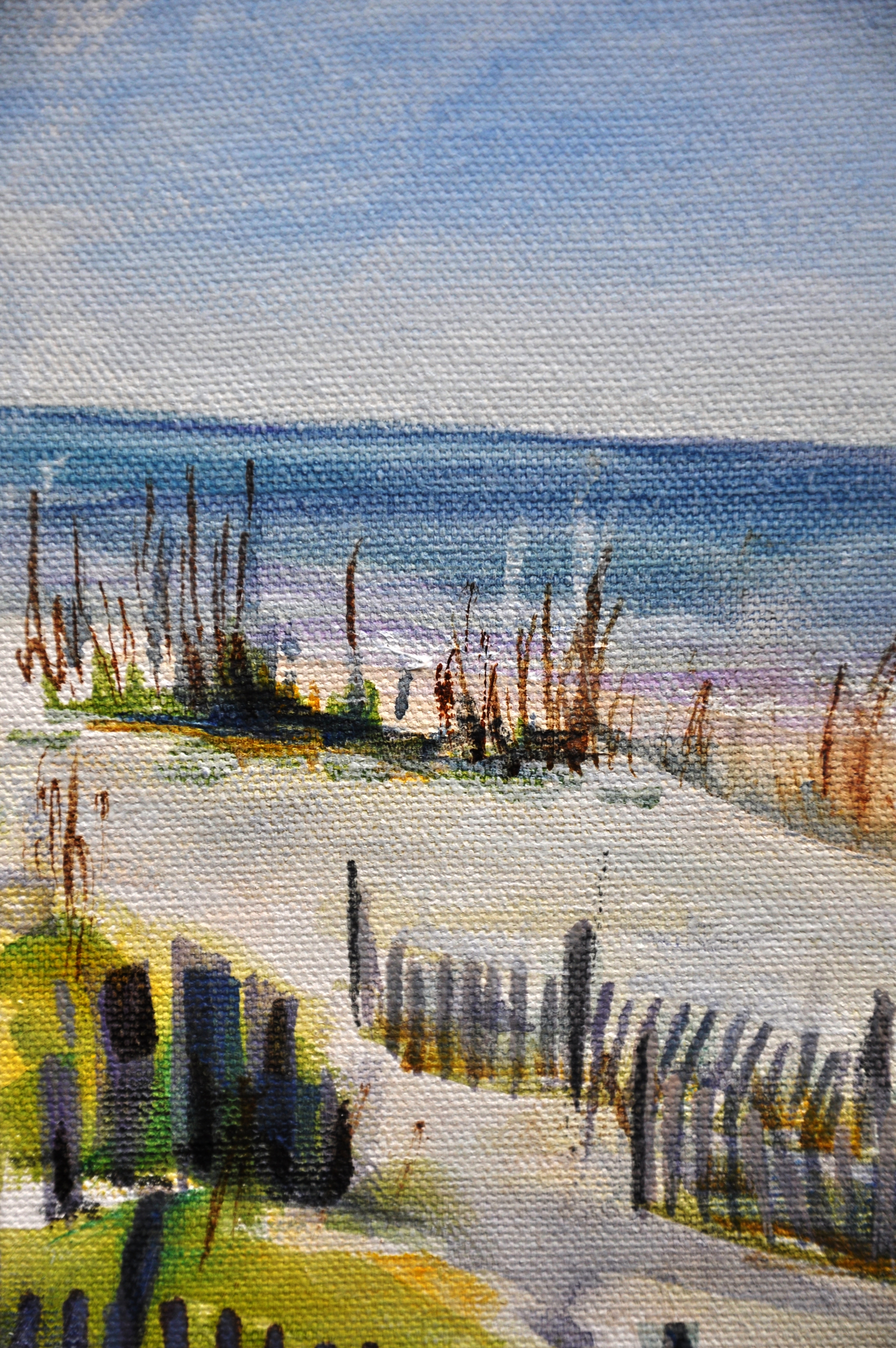 South Sandfences 16x12 Apr 2014 (detail1).JPG