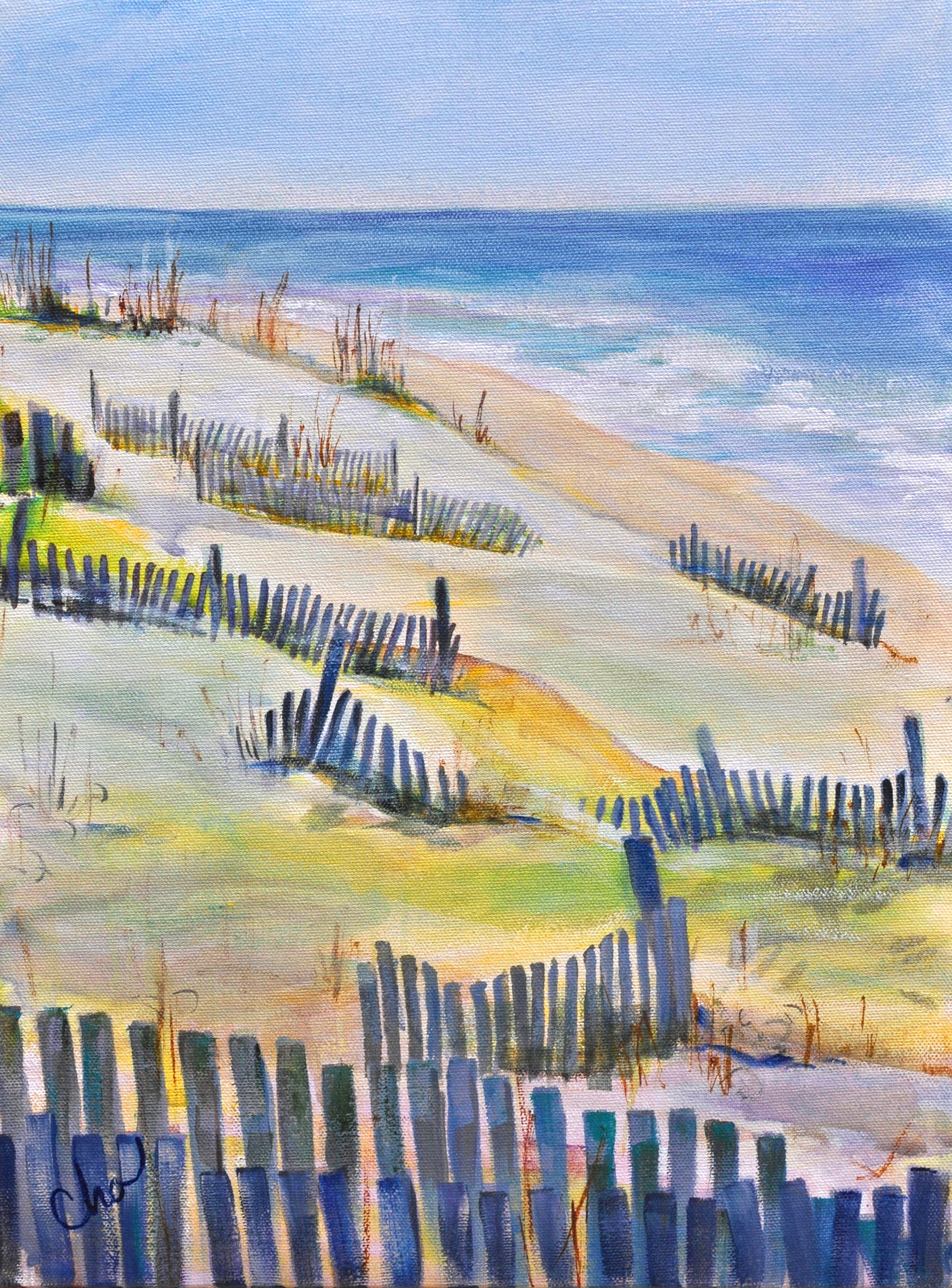 South Sandfences 16x12 Apr 2014.JPG