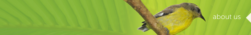 ibg_website_homepage_banners_aboutus.png