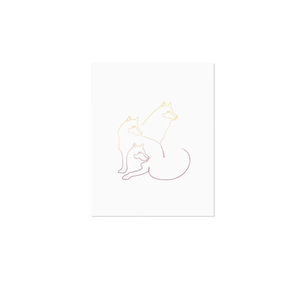 Notion-Wolfpact-Foilprint-ProductPic