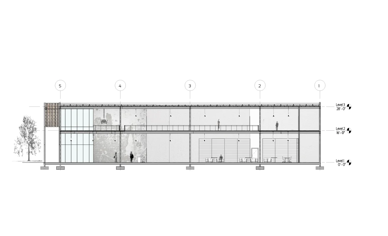 section looking east2.jpg