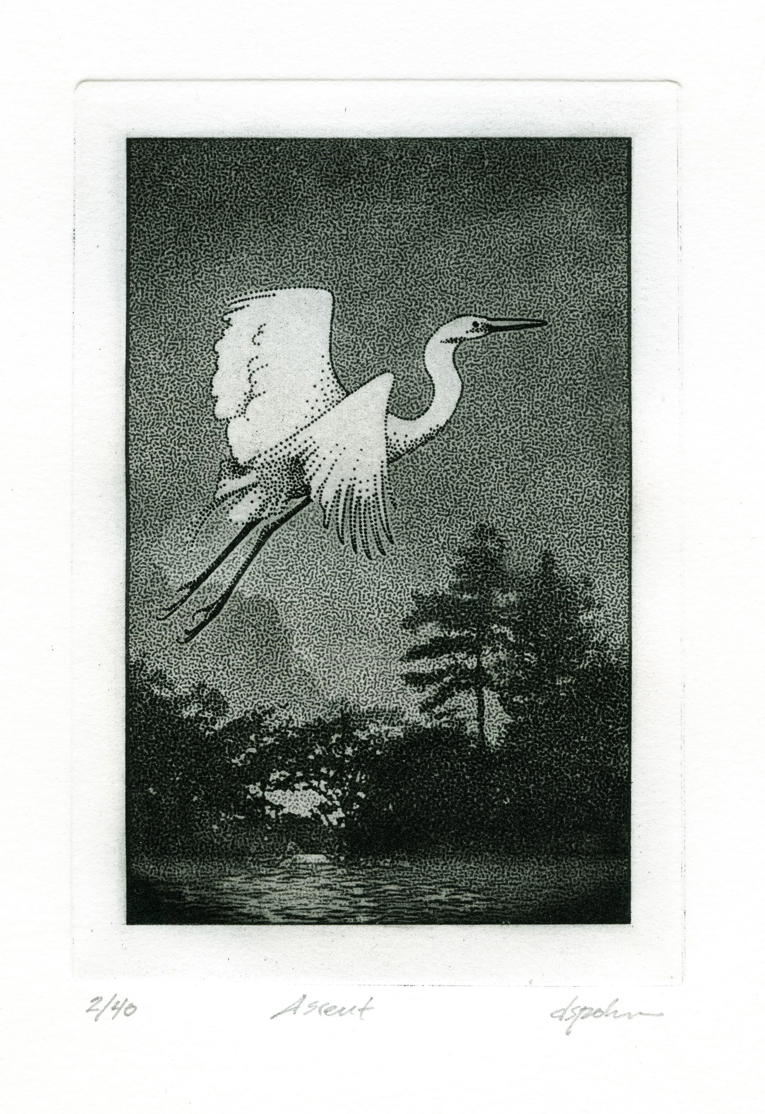 Ascent