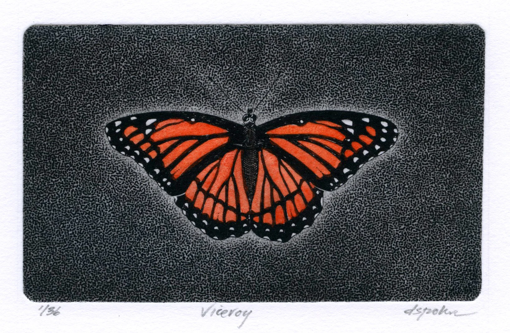 Viceroy.jpg