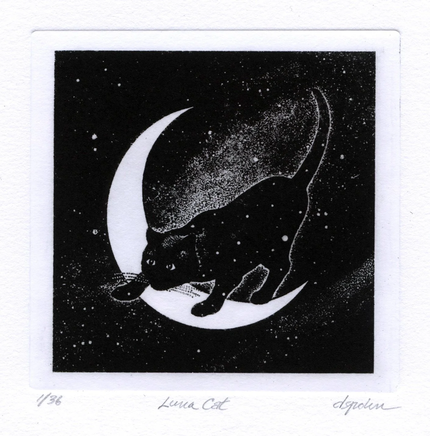 LunaCat.jpg