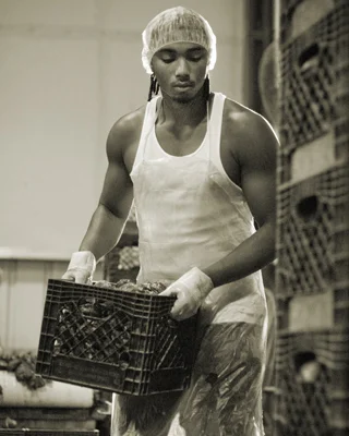  Louisiana Oysters: The Ameripure Oyster Company 