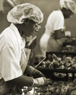  Louisiana Oysters: The Ameripure Oyster Company 