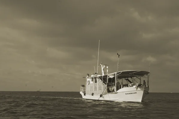  Louisiana Oysters: The Ameripure Oyster Company 