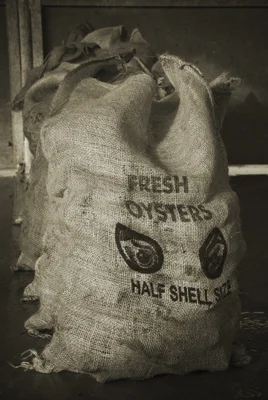  Louisiana Oysters: The Ameripure Oyster Company 