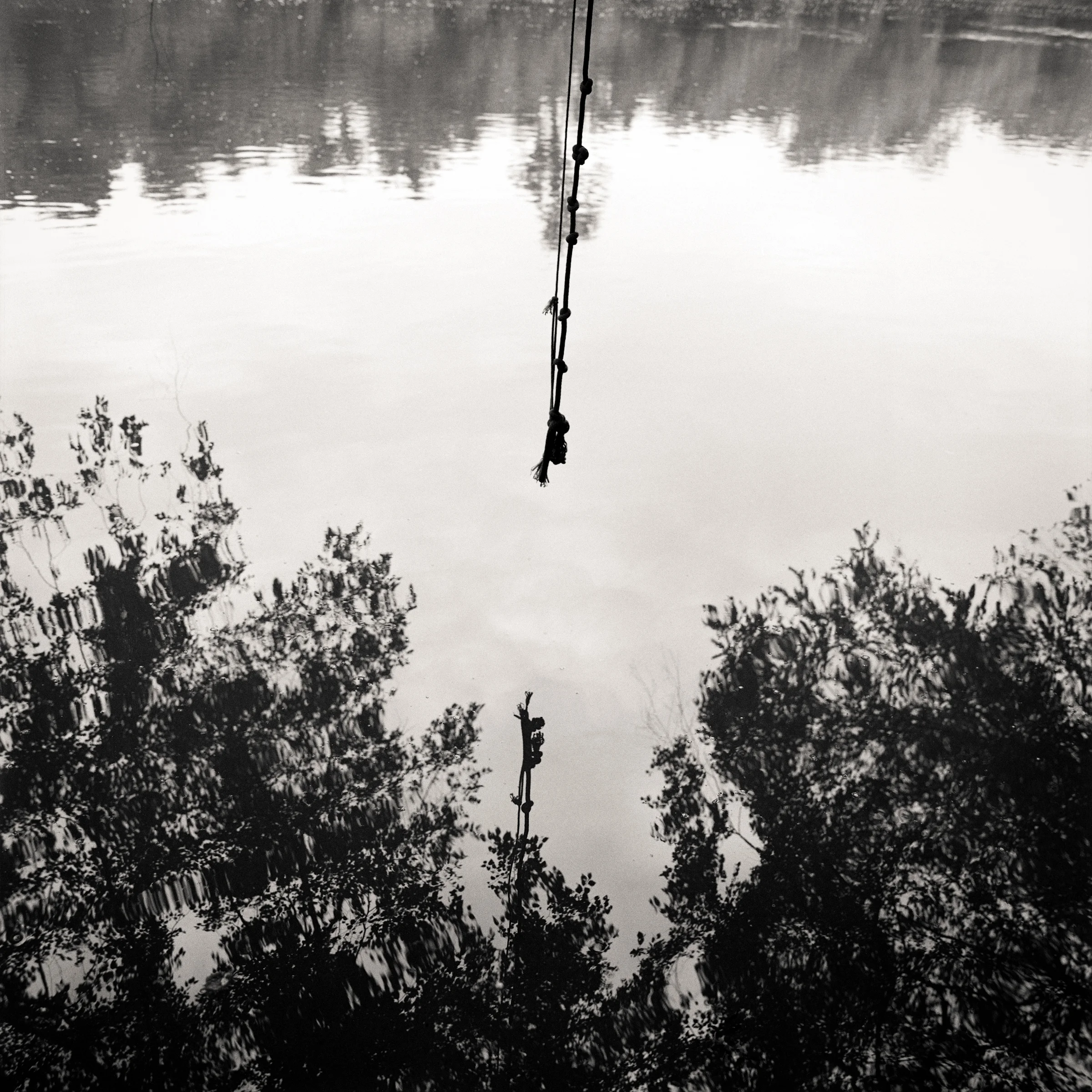 Rope Swing, Yadkin River, Yadkinville, NC 2015