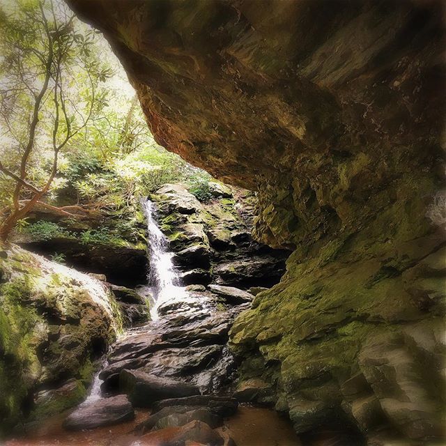 Finally got to make some new images today. Went seeking water at hanging rock state park. #drawntowater