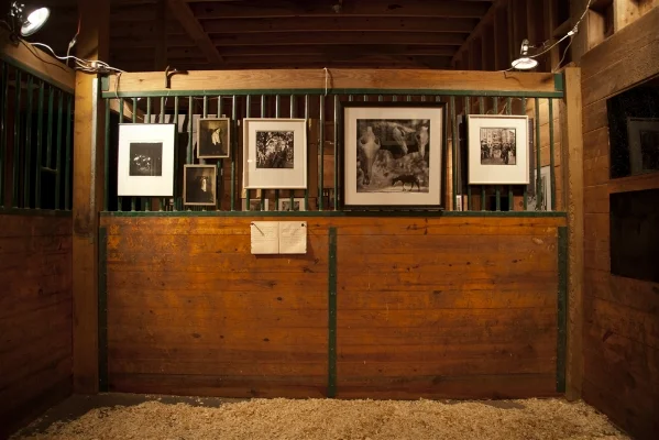 TIME, PLACE AND ETERNITY: Flannery O'Conner and the Craft of Photography at Slow Exposures.