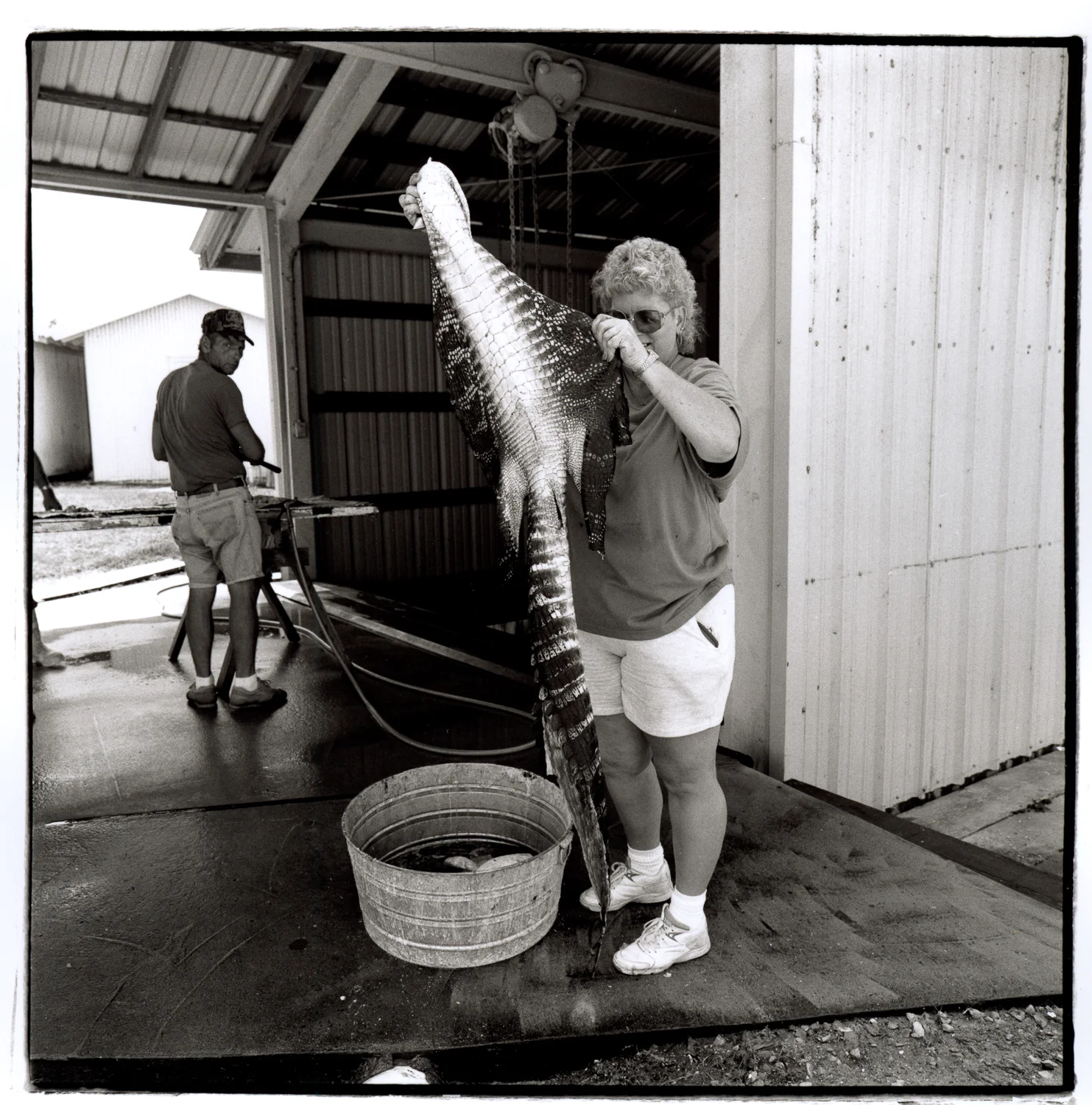  gator hunting, cameron parish, la 