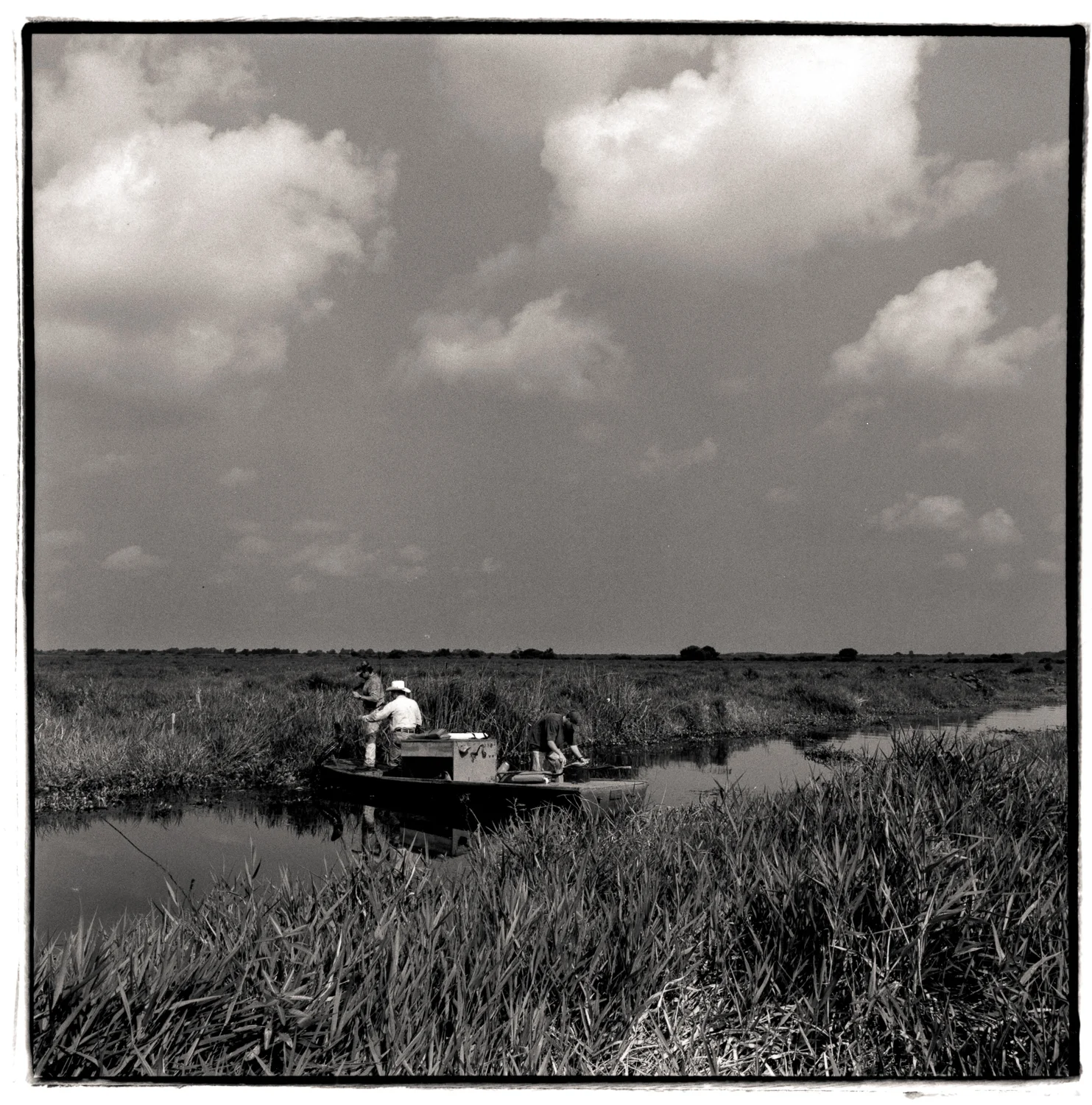  gator hunting, cameron parish, la 