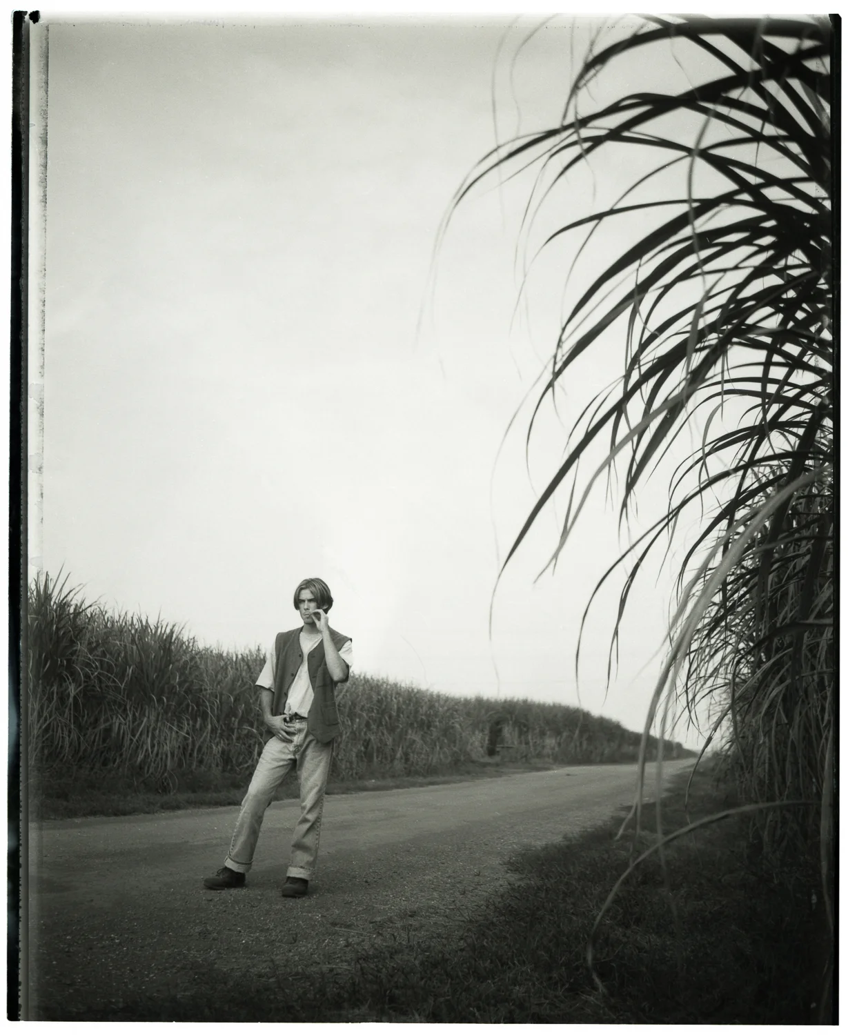 Ian Somerhalder: Actor/Model