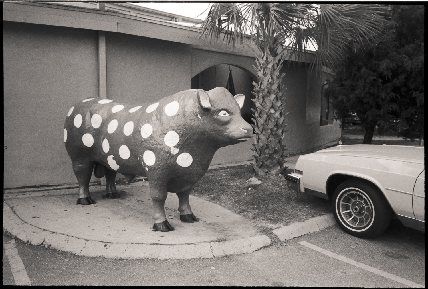 South of the Border, SC 1984