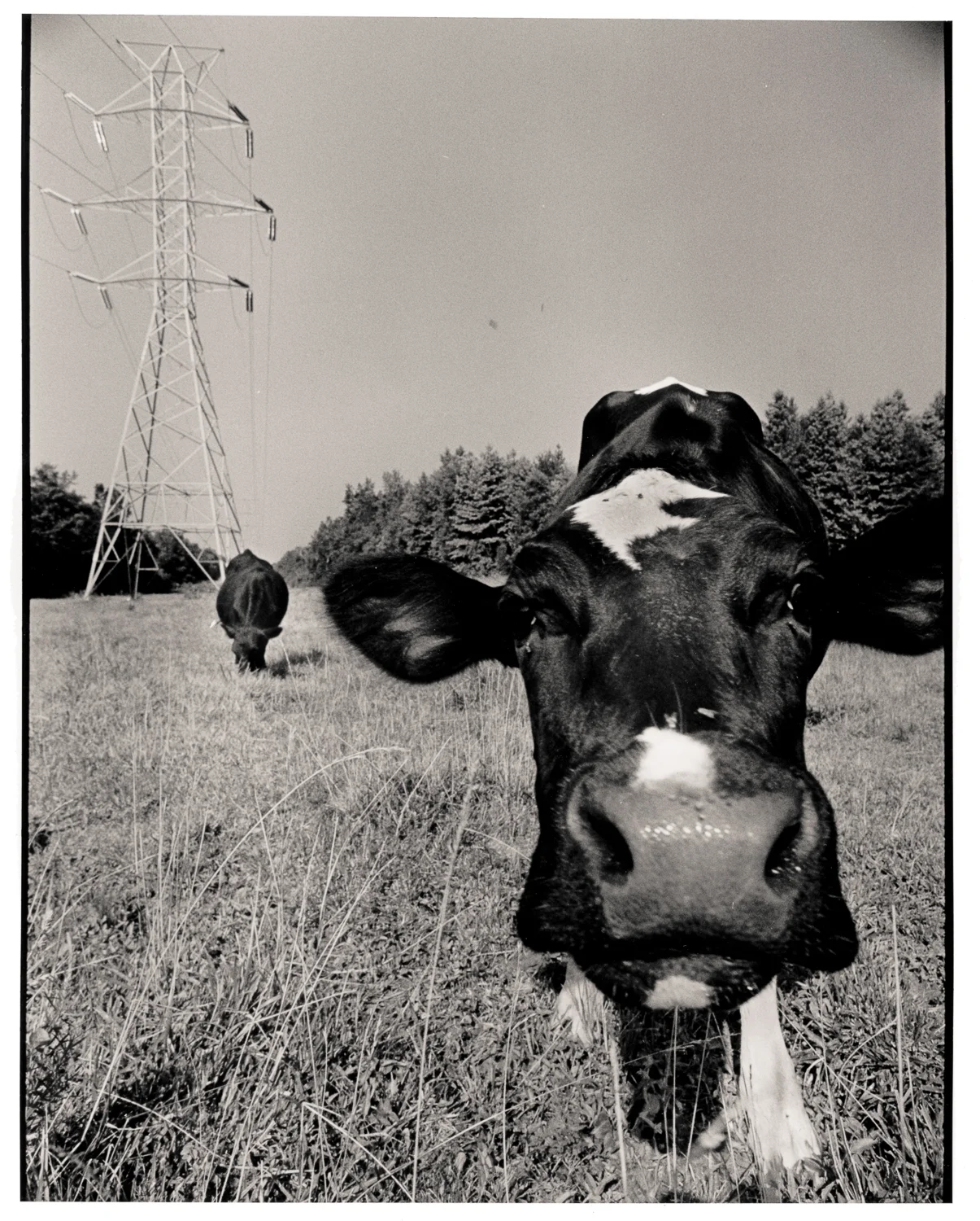 Hwy. 54, NC 1984