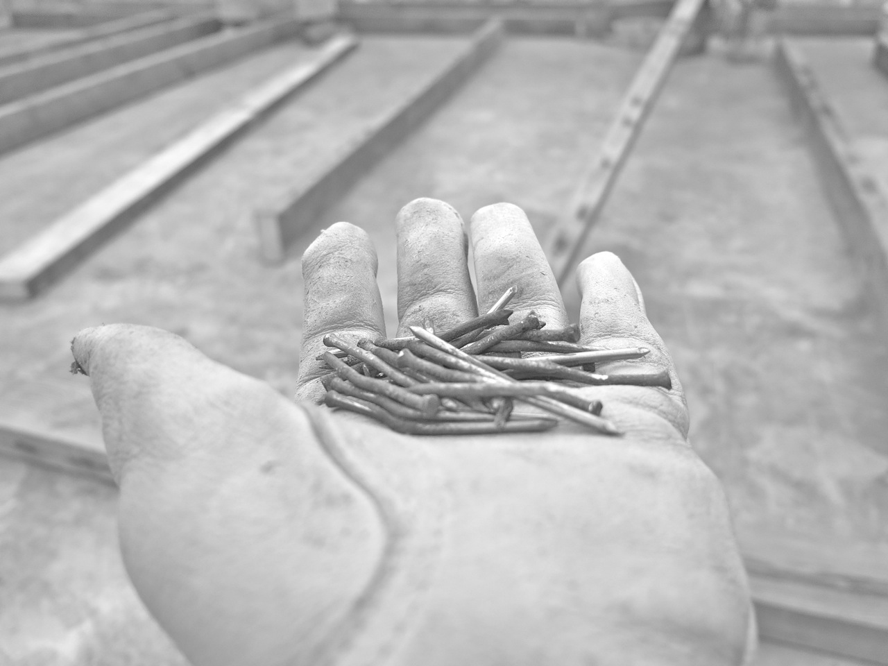 29 December: Framing beams salvaged from our initial bulwark and recycled, Deb pulling the rusted nails out.