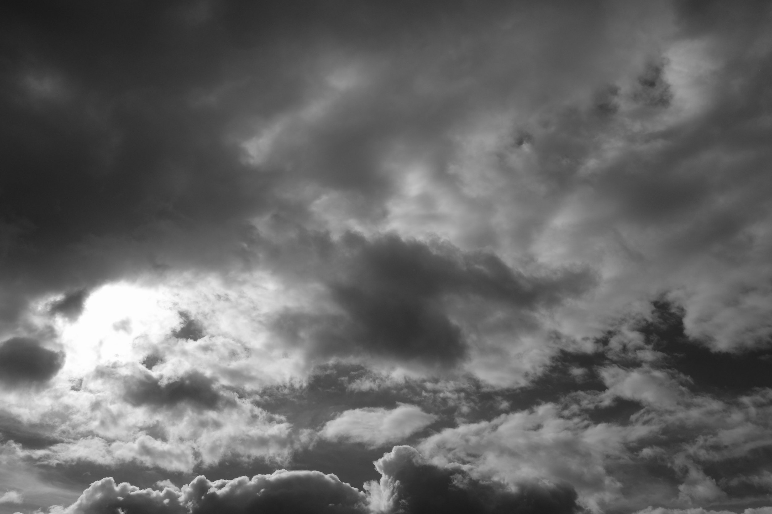 DSCF8378.JPG