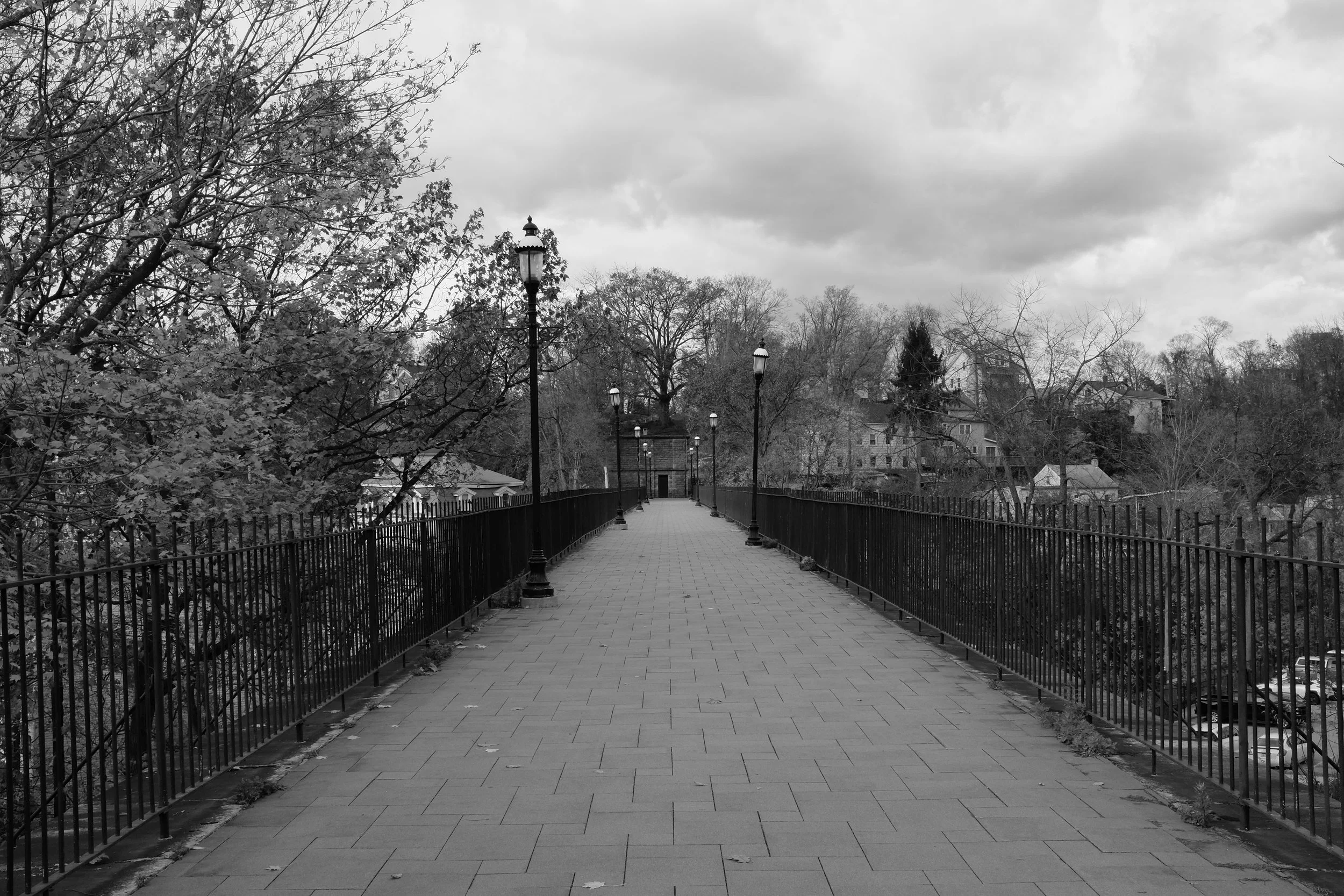 DSCF8379.JPG