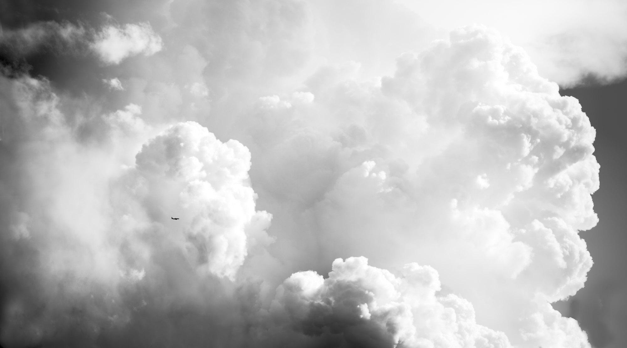 _K4A8632-Edit-Edit-Edit-Edit-Edit.jpg
