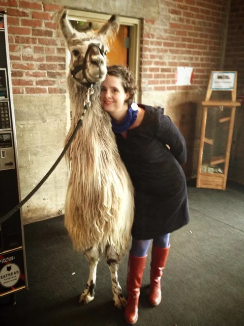 llama.jpg