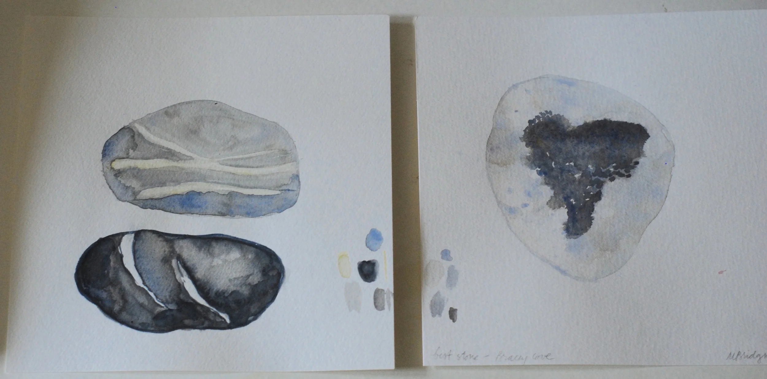 Small and larger unframed watercolor sketches of stones and shells