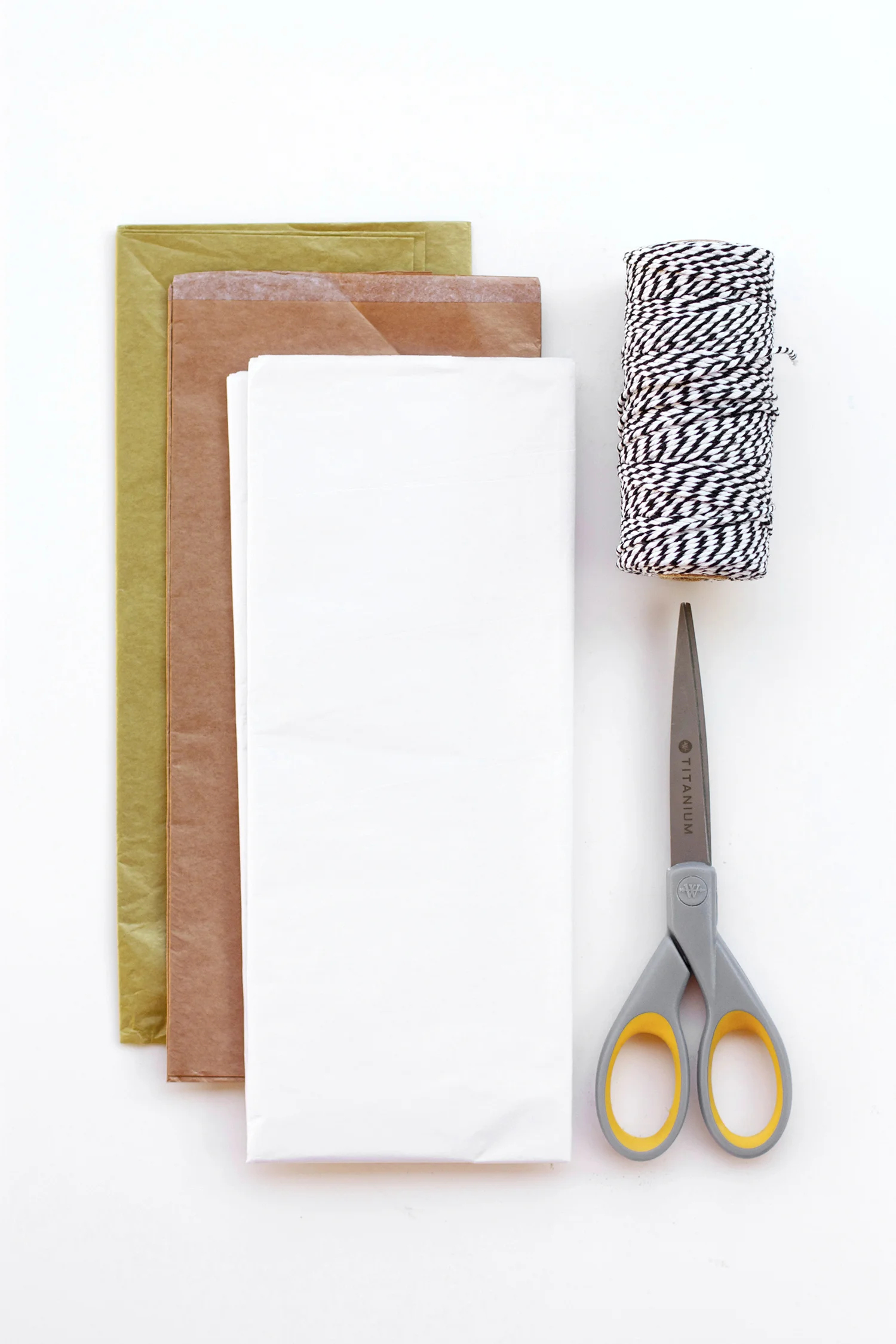 Tissue Paper Garland.jpg