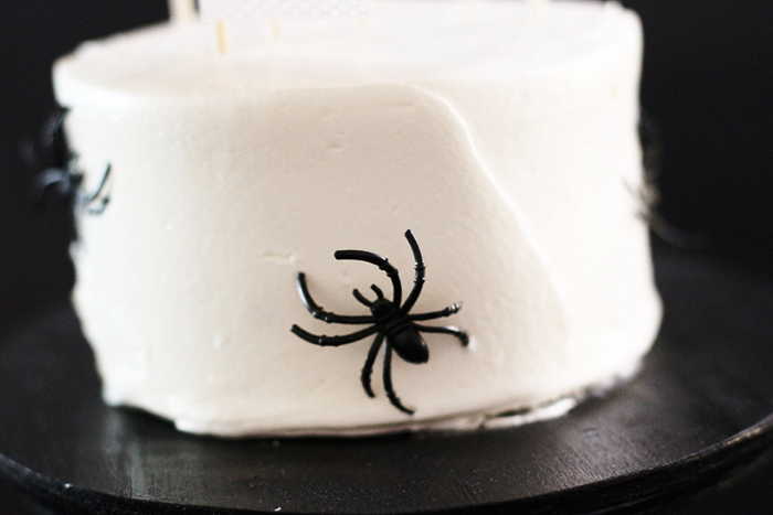 Spider Cake