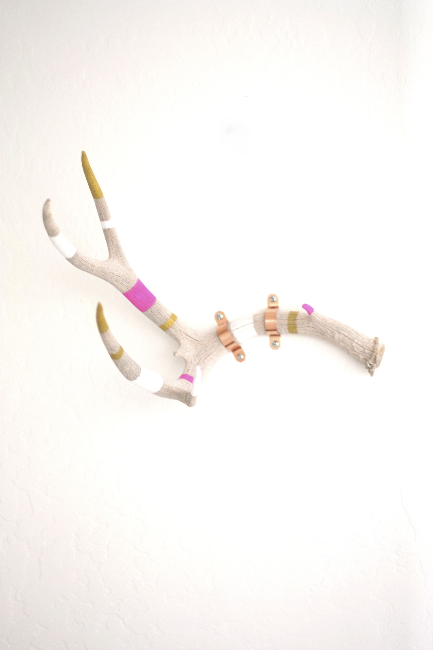 Easy, DIY, Coat, Rack