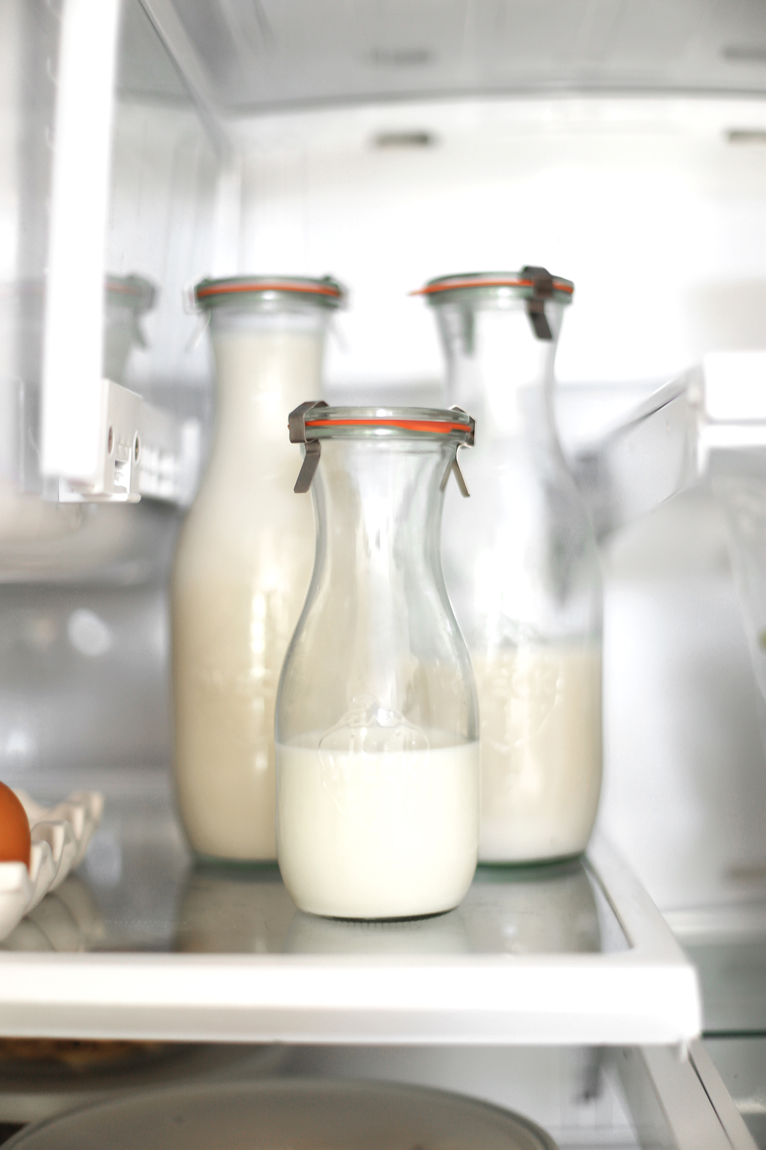 fridge organization tips