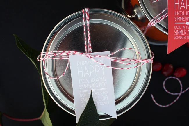 DIY simmer pot