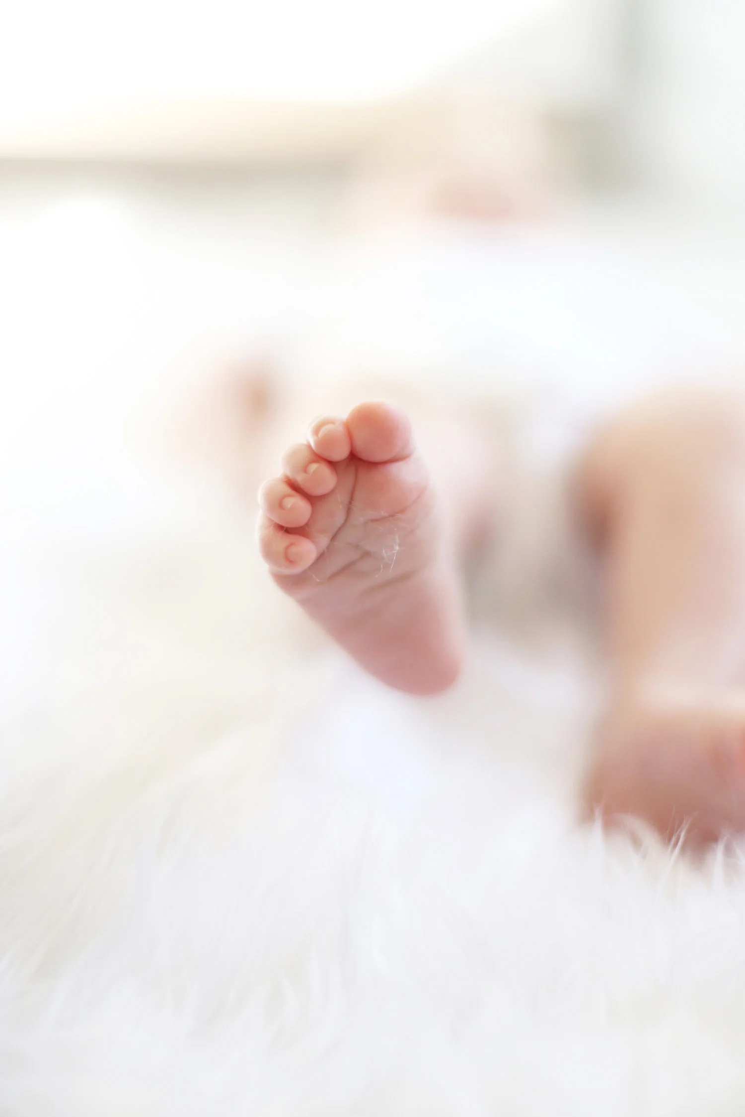 newborn foot photo newborn photo shoot